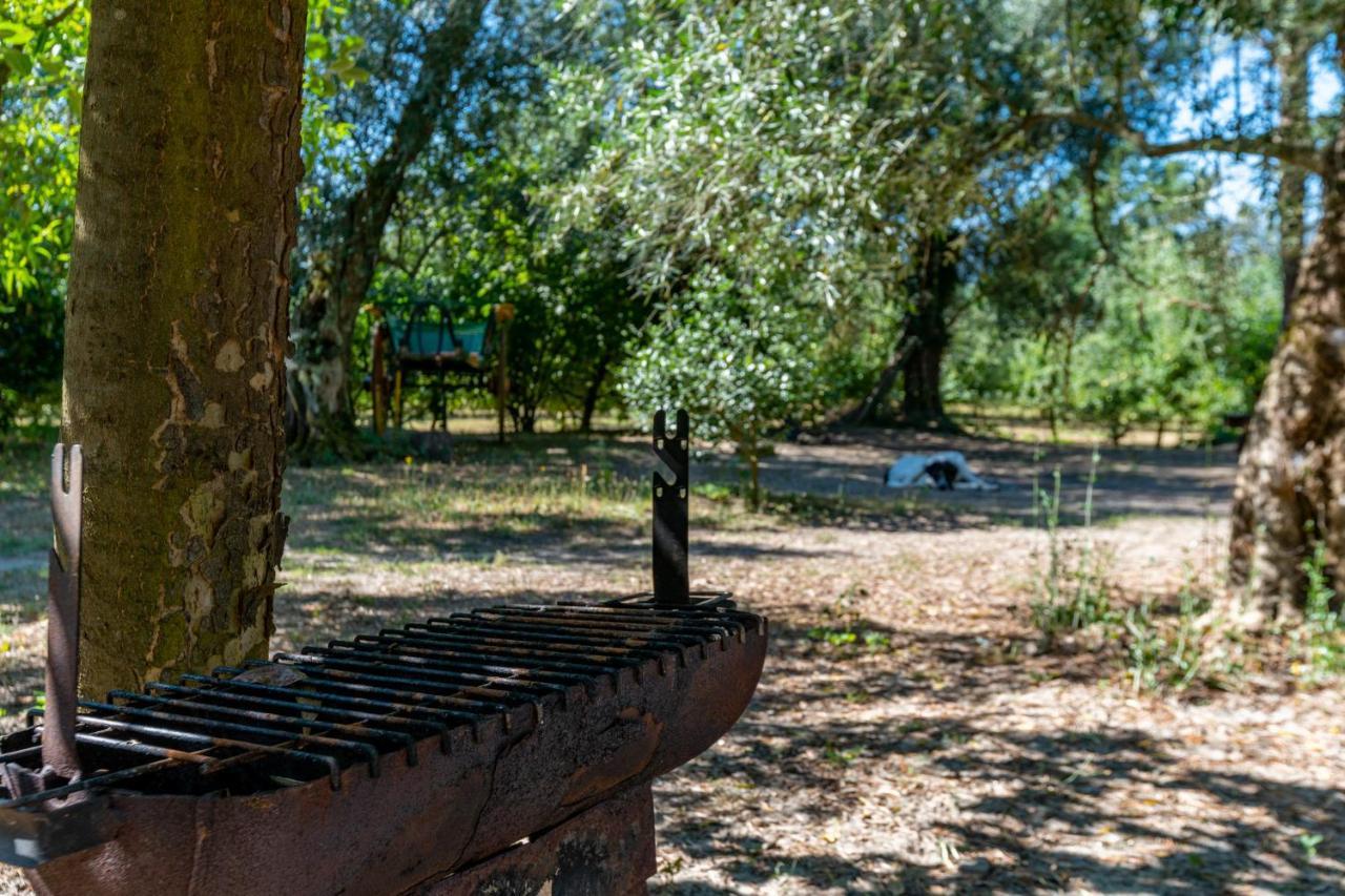 Chale Da Quinta "Lavoura Da Bouca - Fruta Bio" ξενώνας Celorico De Basto Εξωτερικό φωτογραφία