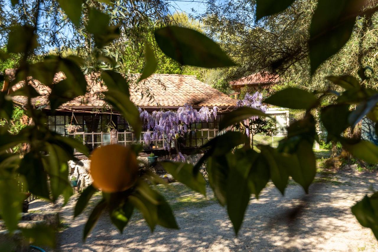 Chale Da Quinta "Lavoura Da Bouca - Fruta Bio" ξενώνας Celorico De Basto Εξωτερικό φωτογραφία